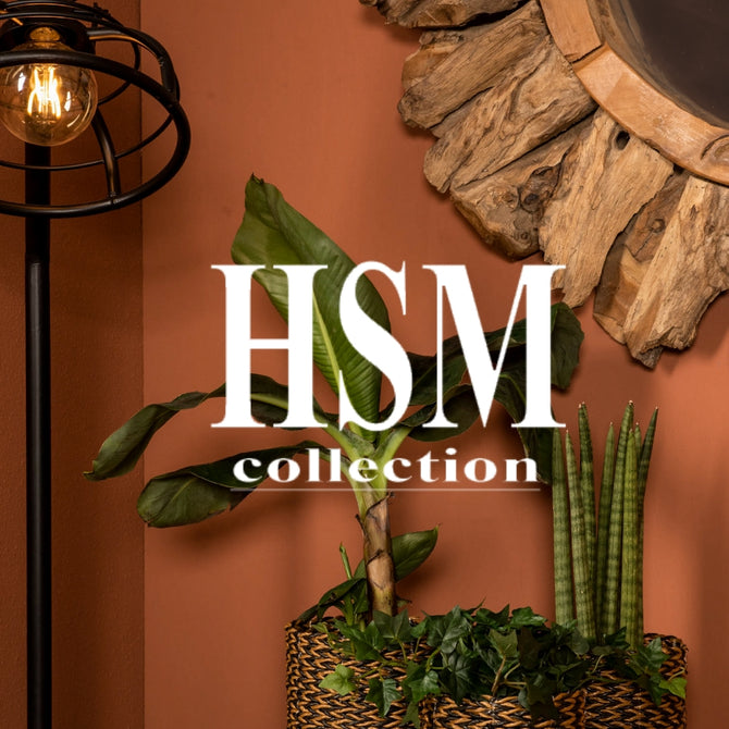 HSM Collection