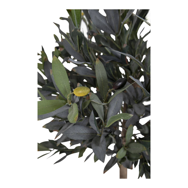 Kunst Olivenbaum